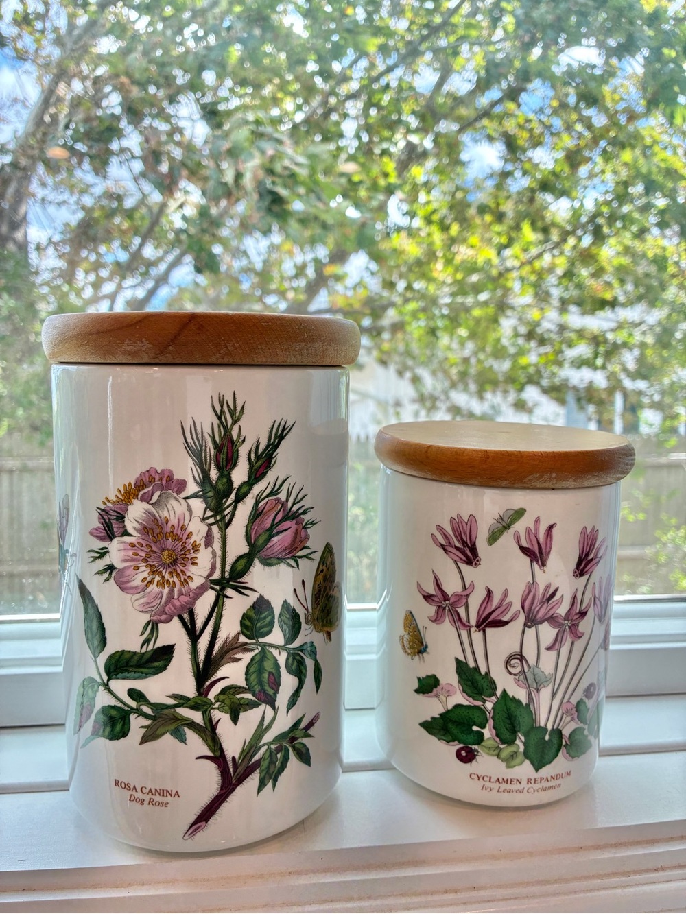 Vintage Portmeirion Botanic Garden Canister Set of 2-Rosa Canina & Cyclamen